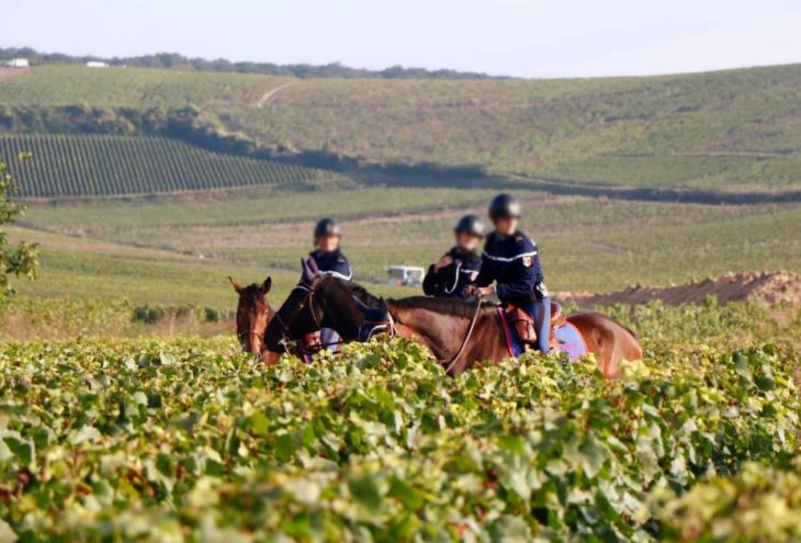 На фермах и виноградниках Кипра выявлено 17 возможных жертв торговцев людьми 