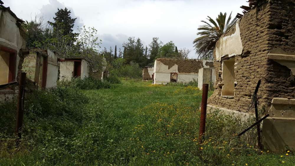 Деревня-призрак Скуриотисса - Вестник Кипра