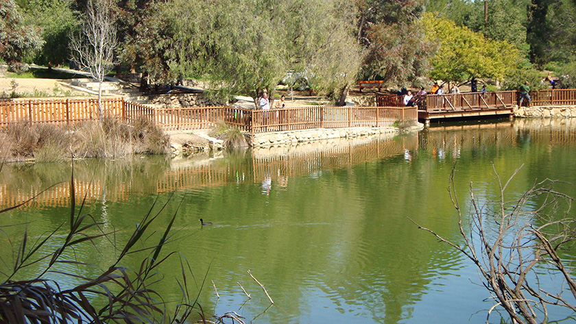 Состояние воды в парке Аталасса вызывает опасения | CypLIVE