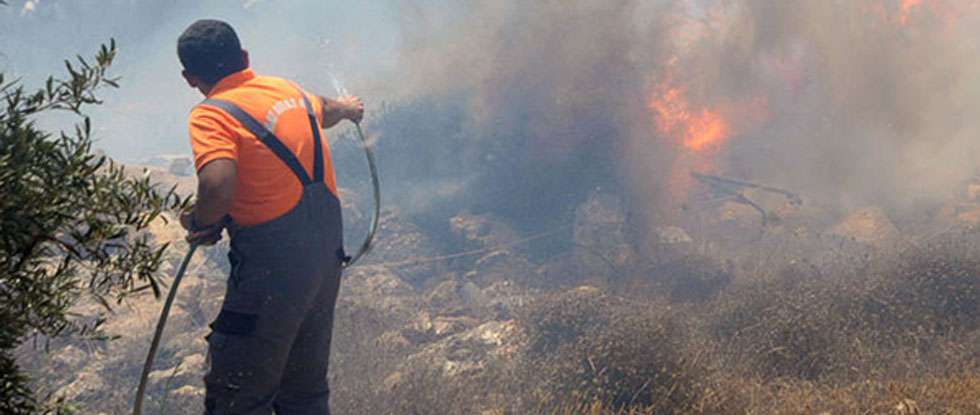 Пожарные службы Кипра тушили огонь в Лимассоле и Пафосе