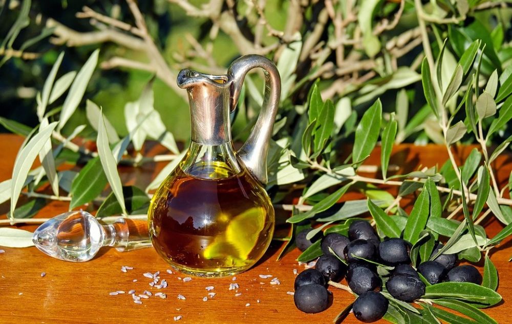 Кипру нужно 4,5 тонны оливкового масла в год - Вестник Кипра