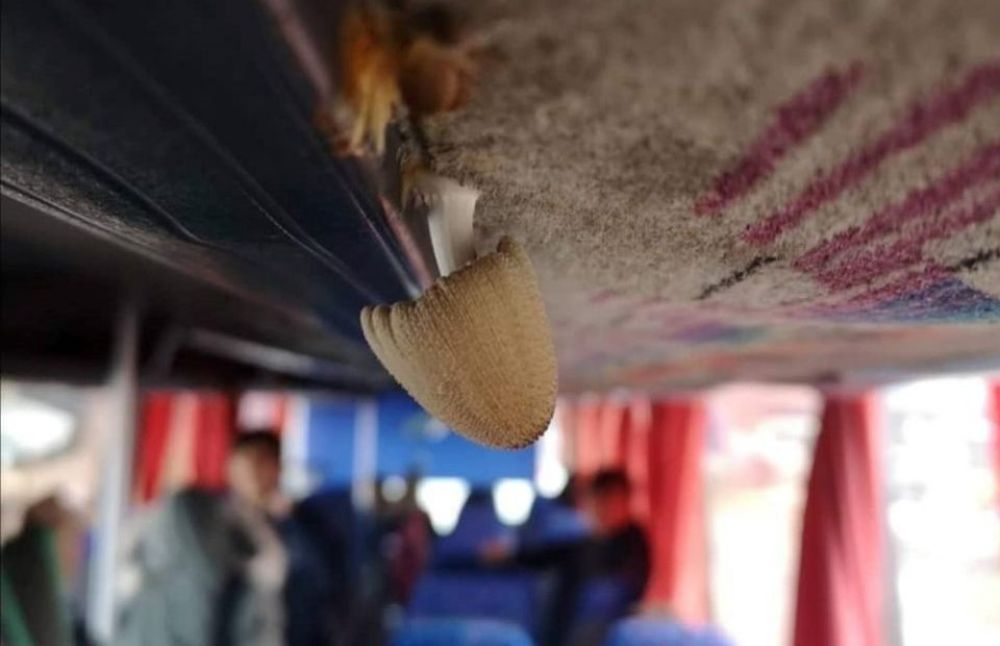 Министр транспорта проинспектировал «грибной» автобус - Вестник Кипра