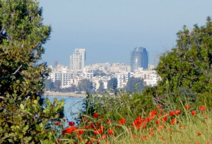 В 2017 году продажи недвижимости на Кипре выросли на 24%