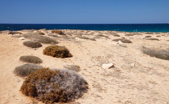 Кипр превратится в пустыню? - Вестник Кипра