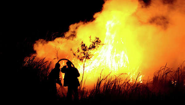 Пожарные взяли под контроль ситуацию с крупным лесным пожаром на Кипре | CypLIVE