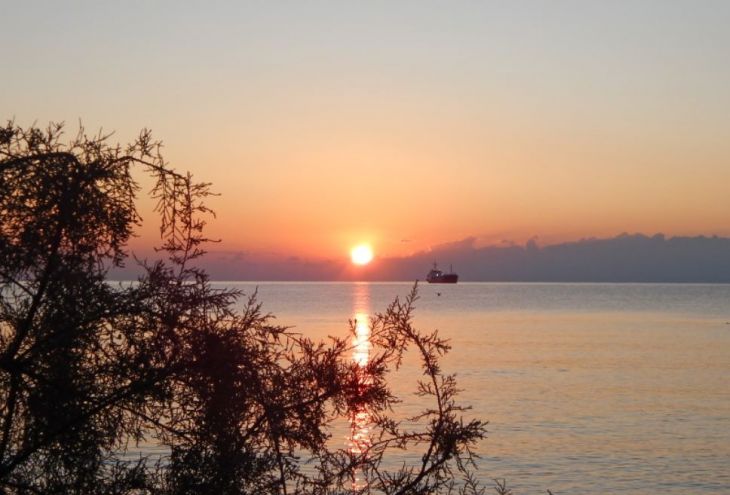 В середине декабря на Кипр вернулось солнце