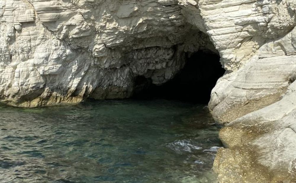 Тюлени и летучие собаки получили новую пещеру - Вестник Кипра