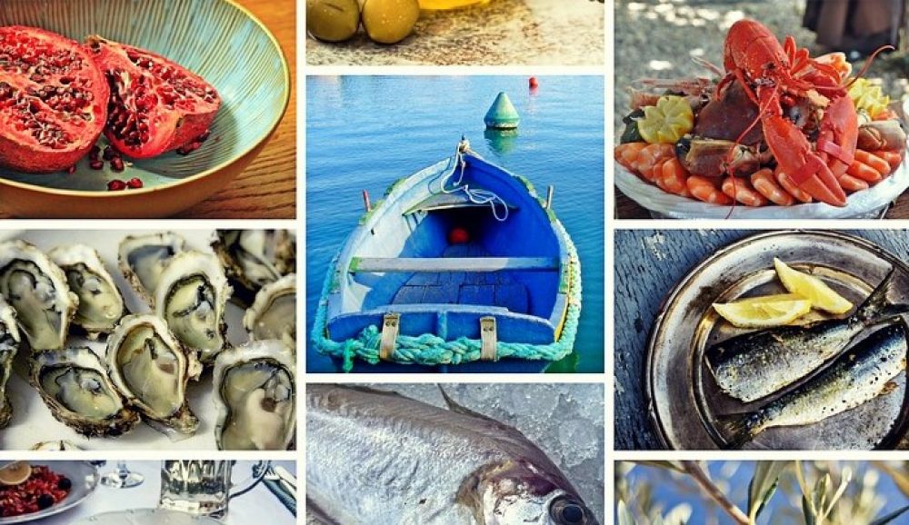 Конкурс финикийской кухни - Вестник Кипра