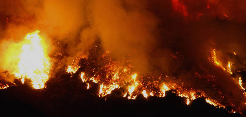 На Кипре задержали виновника крупного лесного пожара | CypLIVE