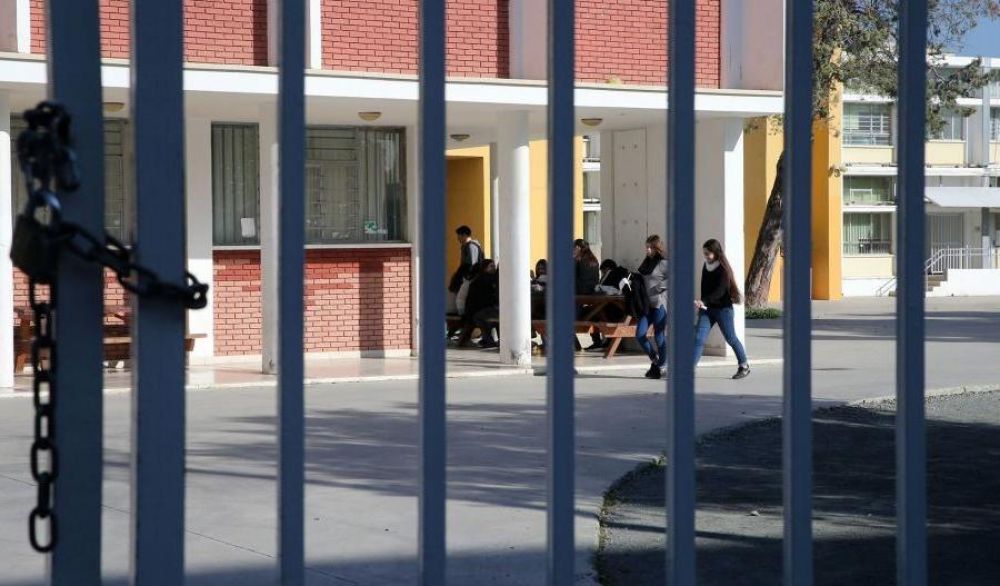 Готовы ли мы к открытию школ в новом формате? - Вестник Кипра