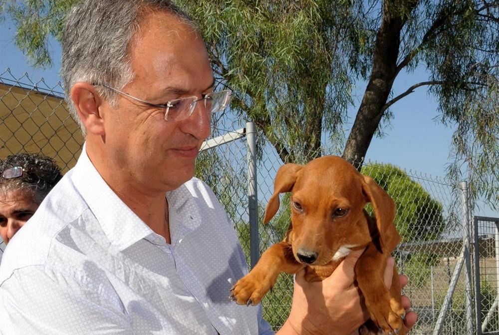 Костас Кадис: животные нуждаются в нашей любви - Вестник Кипра