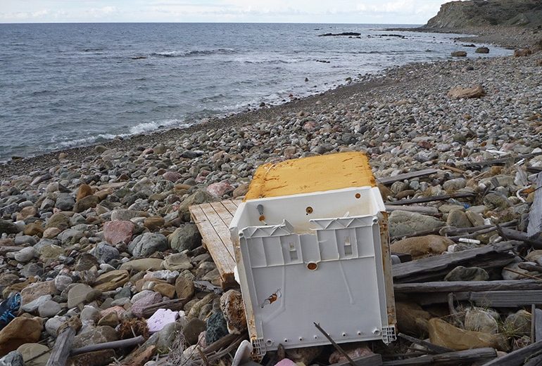 И снова о мусоре в водоемах - Вестник Кипра