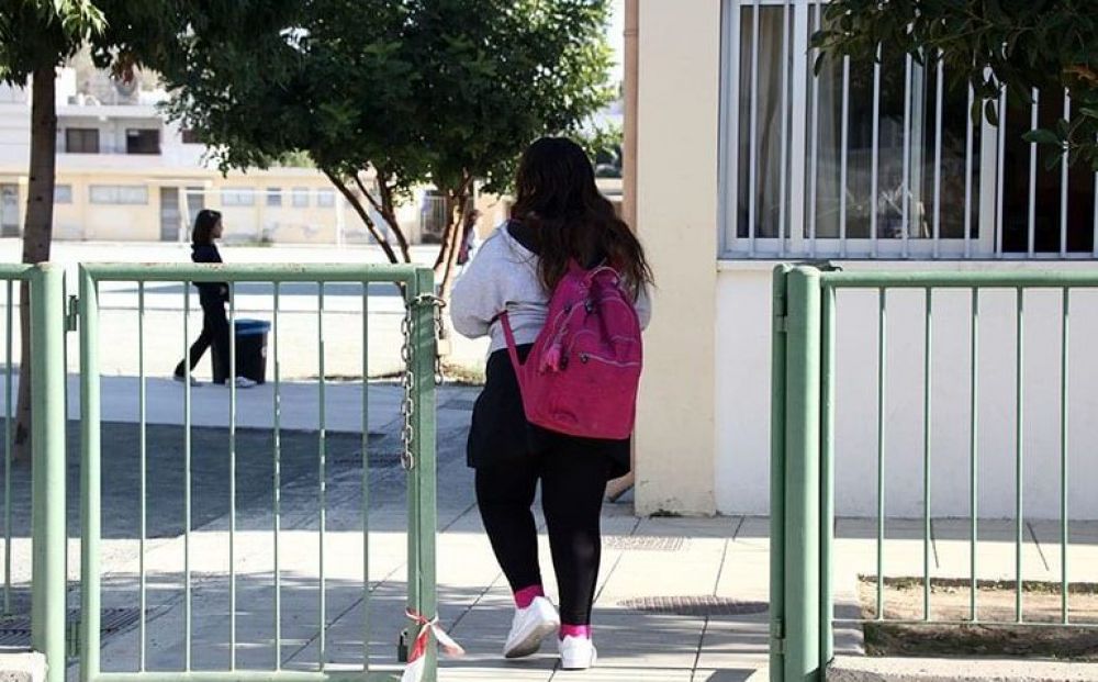Парламентарии обсудили безопасность в школах - Вестник Кипра