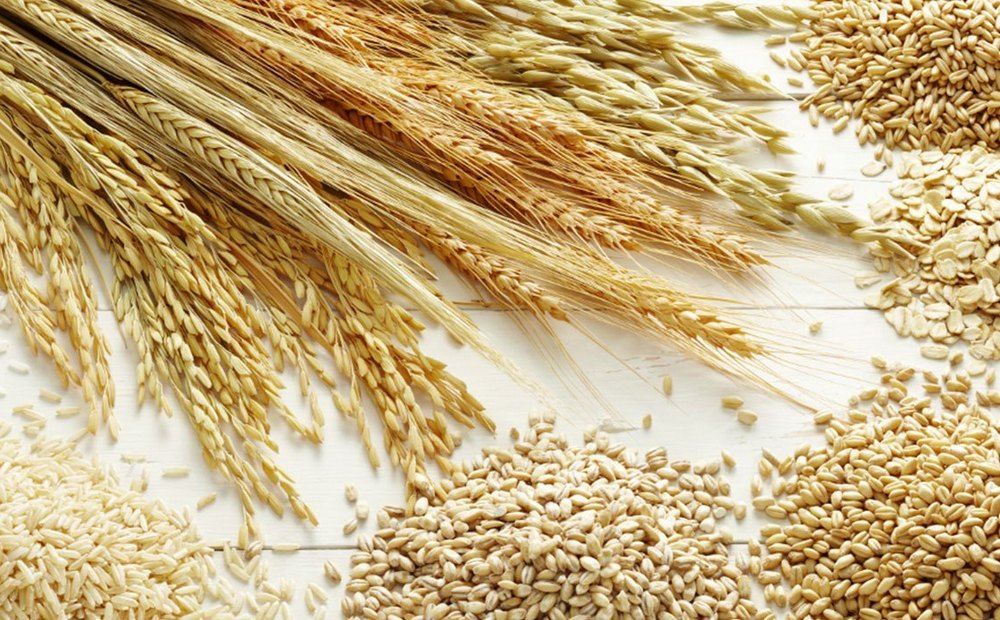 На Кипре разработали уникальный вид пшеницы - Вестник Кипра