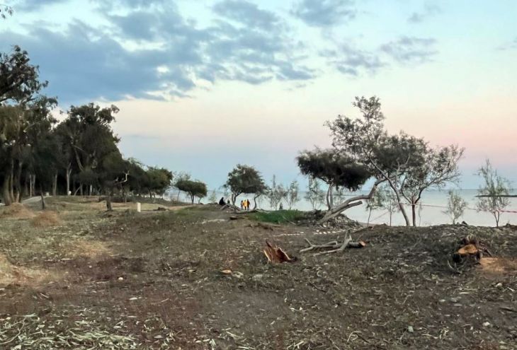 Лесной департамент Кипра: пострадавшие от торнадо парки и леса будут засажены новыми деревьями