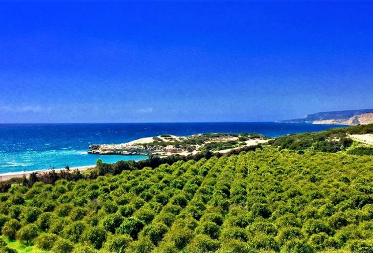 Удивительный Кипр: идеи для путешествий по острову (видео)