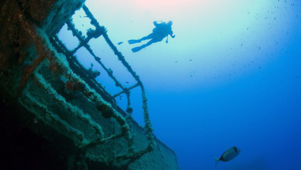 Кипр призывает драйверов поучаствовать в конкурсе «Морская жизнь Зенобии»