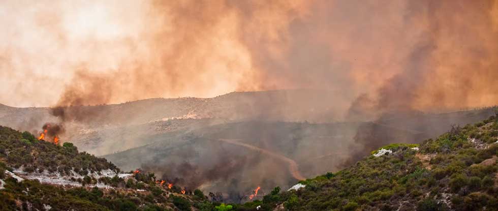 Леонидас Леониду призывает сообщать о случаях пожаров на Кипре