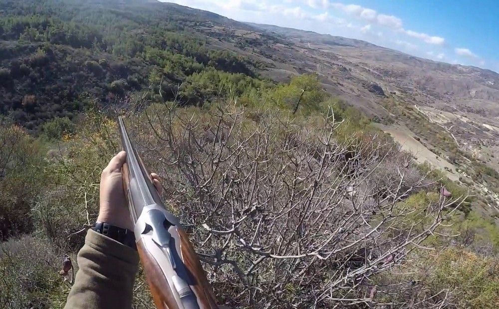 Правила для охотников могут серьезно ужесточиться - Вестник Кипра